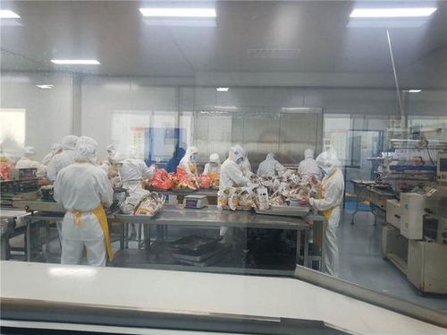 镇平县农业局局长深入南阳标点食品公司开展市场调研服务